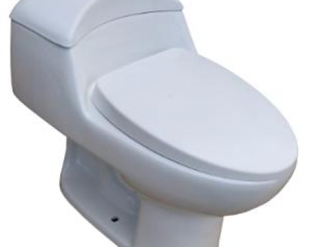 One piece toilet